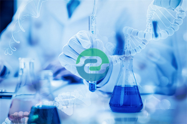 哪家醫院可以做中山親子鑒定？