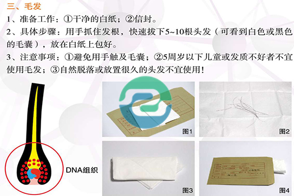 如何委托中山個(gè)人親子鑒定？用頭發(fā)怎么做親子鑒定？