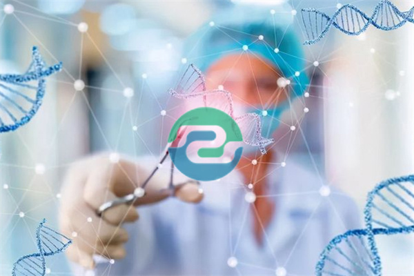 選擇中山正規(guī)親子鑒定機構(gòu)的重要性