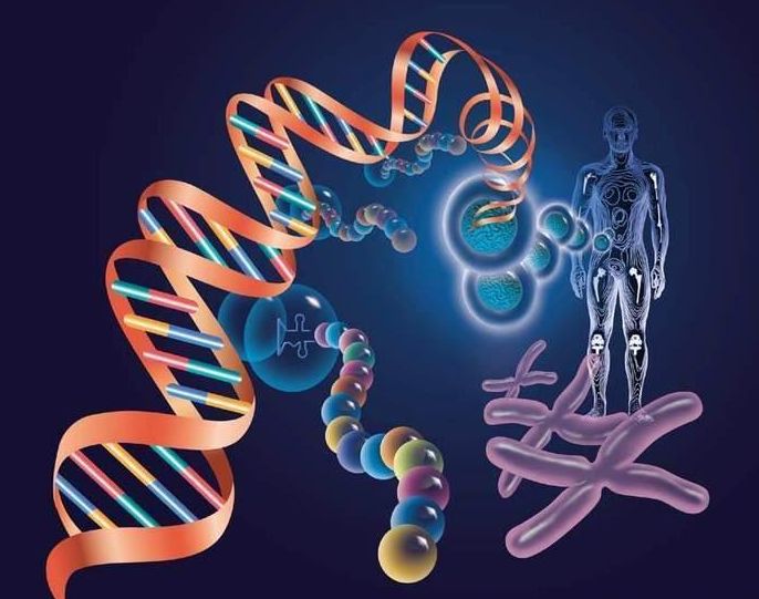 中山匿名親子鑒定的受理流程介紹