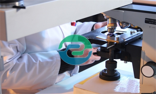 中山DNA親子鑒定在報戶籍中的應用