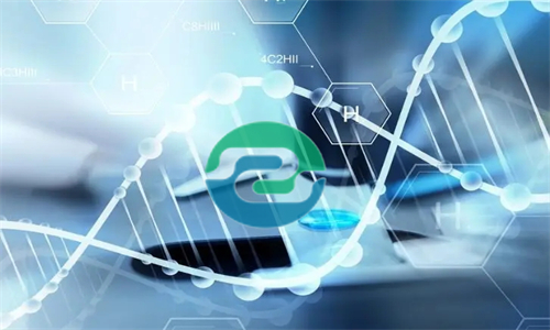 中山的DNA親子鑒定價格受哪些因素的影響？