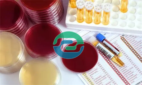 在中山做胎兒親子鑒定需要哪些證件？如何預約？