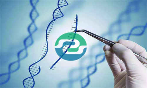 發(fā)現(xiàn)懷孕可以做中山親子鑒定嗎？可以保護(hù)隱私嗎？