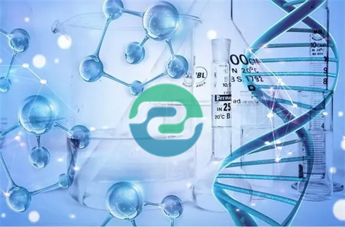 中山司法親子鑒定在哪里進行呢？