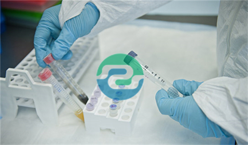 中山親子鑒定費用及中山親子鑒定辦法介紹