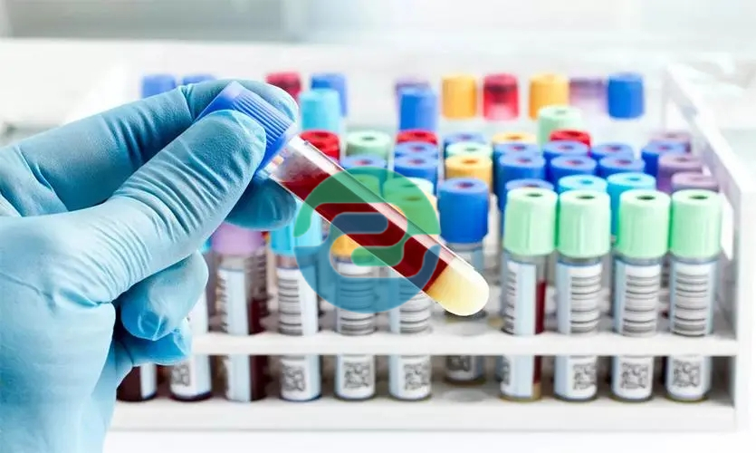 中山親子鑒定要多少錢？