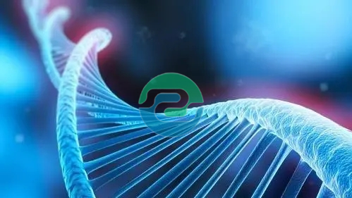 中山親子鑒定的費用是多少？需要什么？