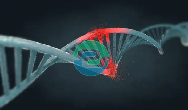 如何在懷孕一個月內進行中山無創胎兒親子鑒定？