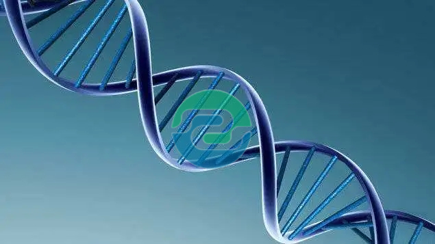 中山親子鑒定的價格不是固定的？盛澤基因