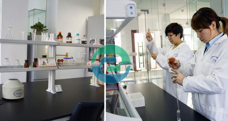 中山親子鑒定是多少錢?。恐猩接H子鑒定辦理各種方法？