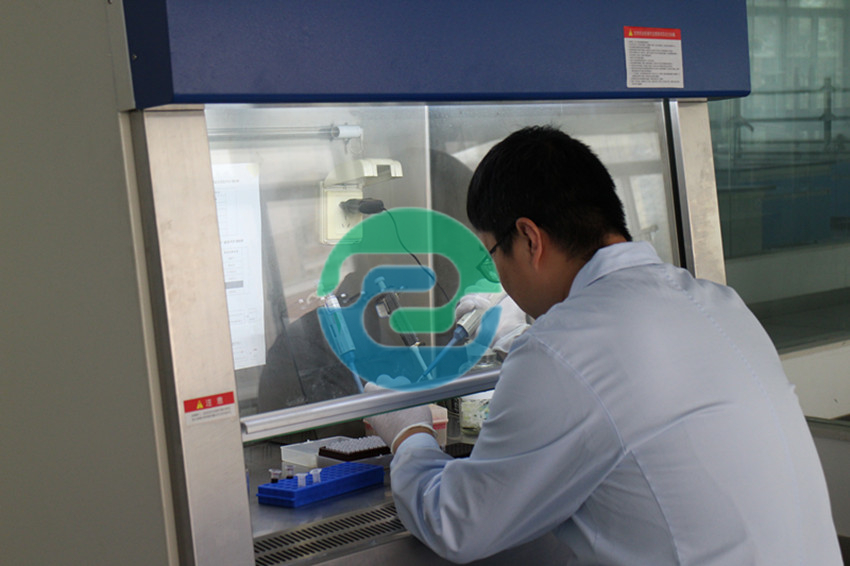 中山親子鑒定需要做哪些準備？