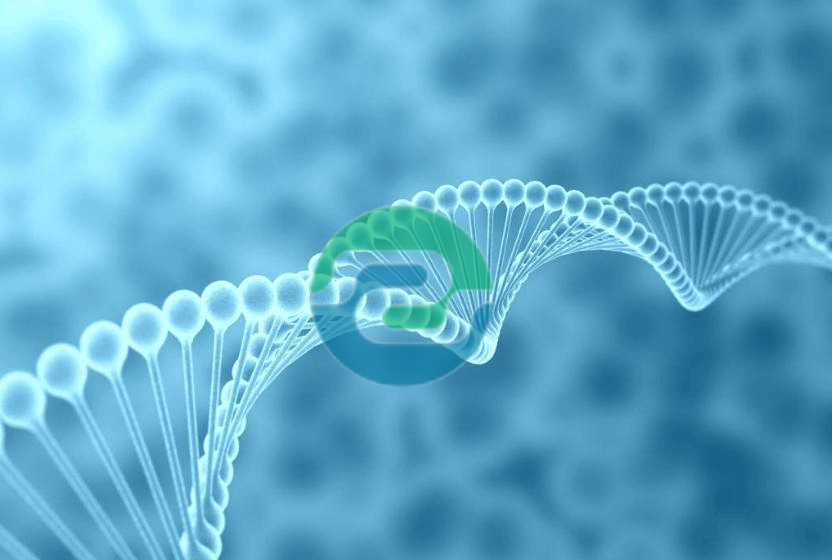 頭發和指甲哪個更好做中山親子鑒定？