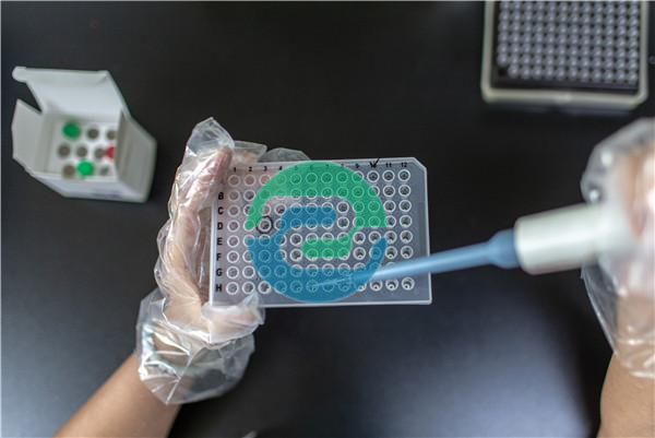 中山親子鑒定的費用受到若干因素的影響