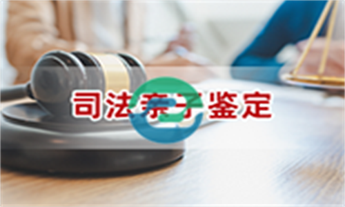 中山親子鑒定的準(zhǔn)確率很高，通常達(dá)到99.99%以上