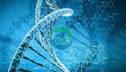 中山親子鑒定已經成為解決問題家庭疑慮的重要工具？