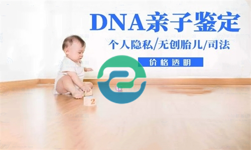 中山親子鑒定中心在哪？大概收費多少？