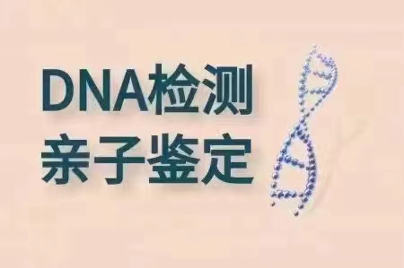 中山親子鑒定辦理用途分類-盛澤親子鑒定中心